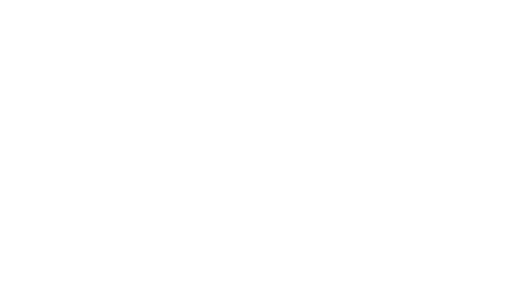 MiniAuto